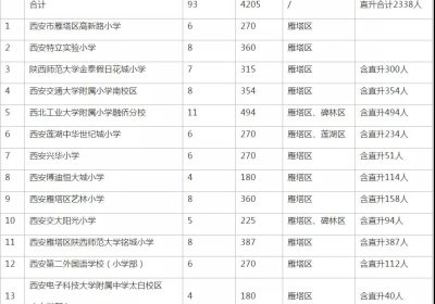 2020年西安雁塔区民办小学招生计划公布