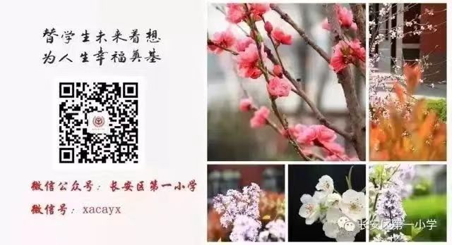 长安区第一小学